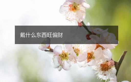 戴什么东西旺偏财