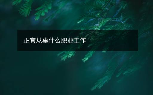 正官从事什么职业工作