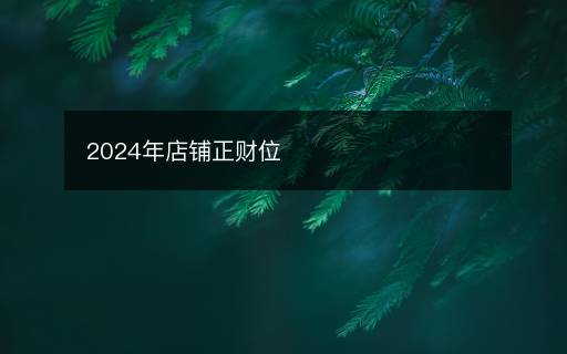 2024年店铺正财位