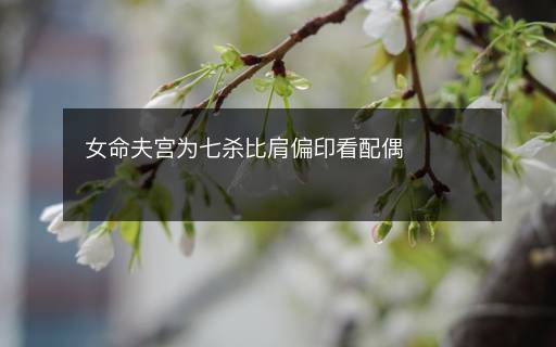 女命夫宫为七杀比肩偏印看配偶 女命夫宫为七杀比肩偏印看配偶