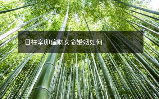 日柱辛卯偏财女命婚姻如何
