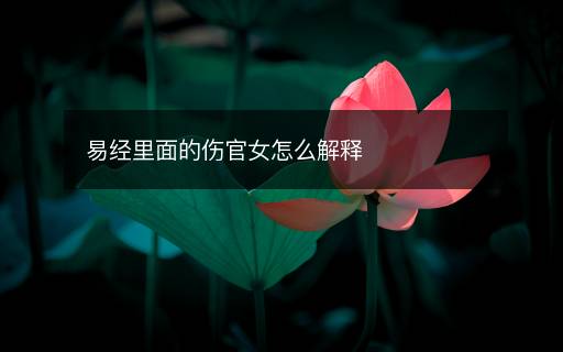 易经里面的伤官女怎么解释