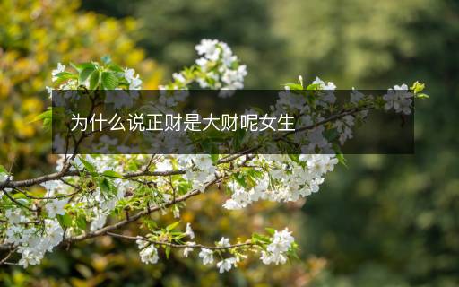 为什么说正财是大财呢女生 为什么说正财是大财呢女生