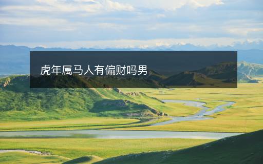 虎年属马人有偏财吗男 虎年属马人有偏财吗男