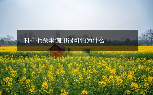 时柱七杀坐偏印很可怕为什么