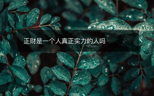 正财是一个人真正实力的人吗
