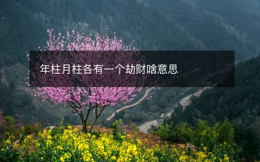 年柱月柱各有一个劫财啥意思 年柱月柱各有一个劫财啥意思