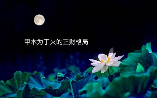 甲木为丁火的正财格局