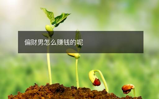 偏财男怎么赚钱的呢