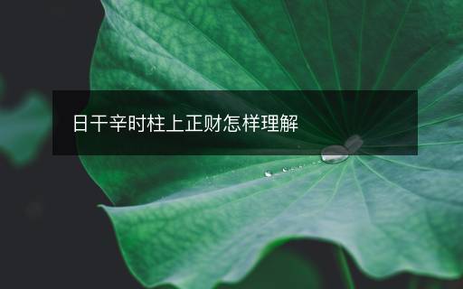 日干辛时柱上正财怎样理解