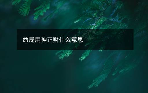 命局用神正财什么意思