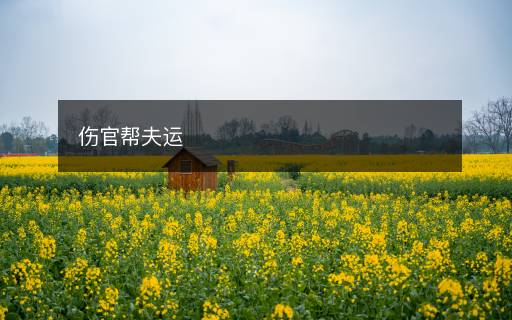 伤官帮夫运