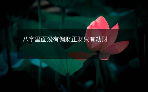 八字里面没有偏财正财只有劫财 八字里面没有偏财正财只有劫财