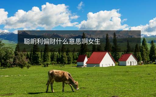 聪明利偏财什么意思啊女生