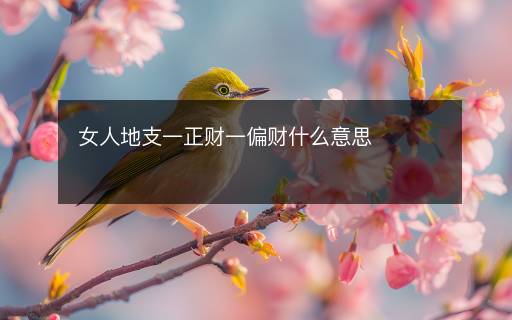 女人地支一正财一偏财什么意思