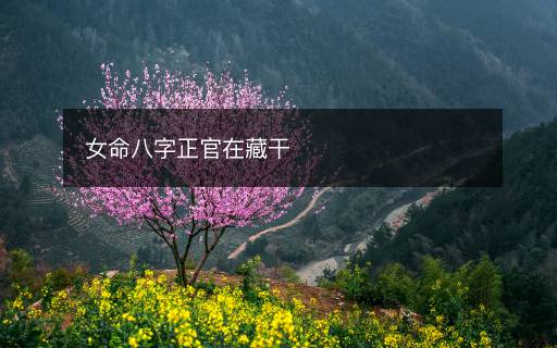 女命八字正官在藏干