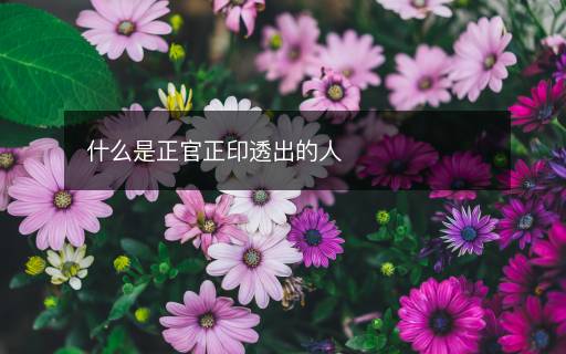 什么是正官正印透出的人