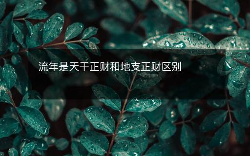 流年是天干正财和地支正财区别 流年是天干正财和地支正财区别
