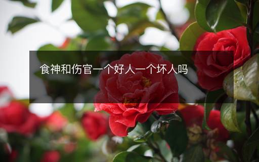 食神和伤官一个好人一个坏人吗