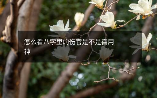 怎么看八字里的伤官是不是喜用神 怎么看八字里的伤官是不是喜用神