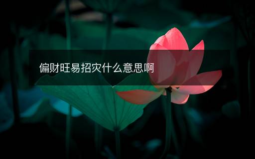 偏财旺易招灾什么意思啊