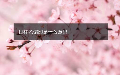 日柱乙偏印是什么意思