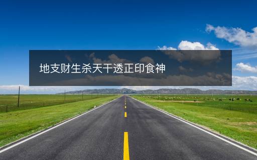 地支财生杀天干透正印食神