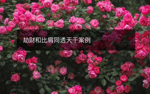 劫财和比肩同透天干案例 劫财和比肩同透天干案例