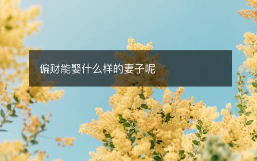 偏财能娶什么样的妻子呢