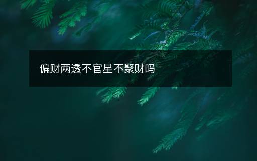 偏财两透不官星不聚财吗