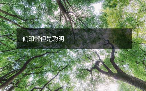 偏印懒但是聪明