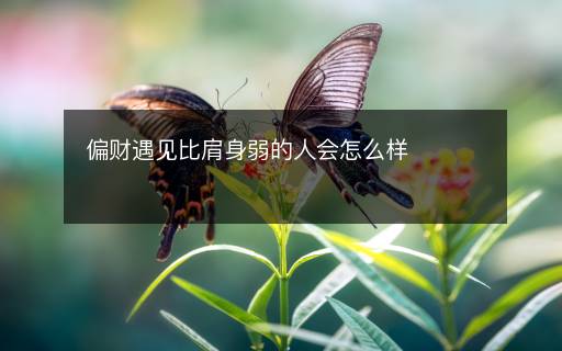 偏财遇见比肩身弱的人会怎么样