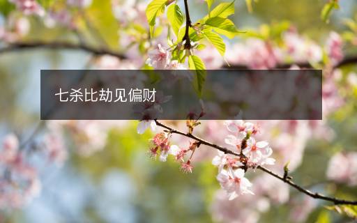 七杀比劫见偏财