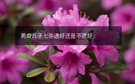 男命儿子七杀透好还是不透好