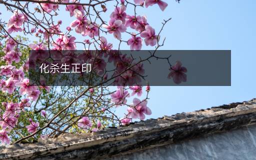 化杀生正印 化杀生正印