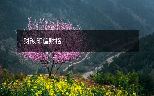 财破印偏财格