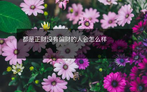 都是正财没有偏财的人会怎么样 都是正财没有偏财的人会怎么样