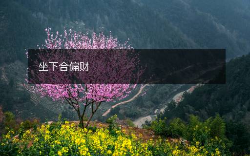 坐下合偏财