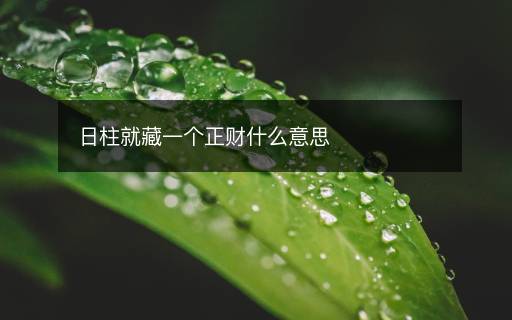 日柱就藏一个正财什么意思