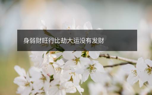 身弱财旺行比劫大运没有发财