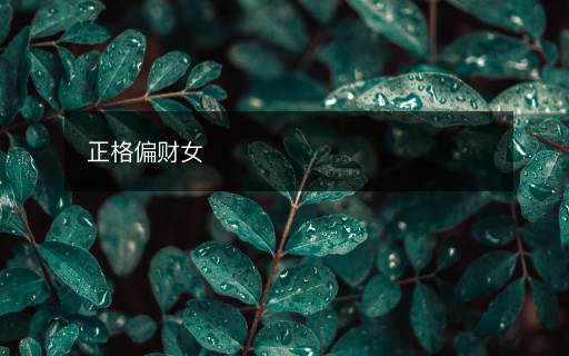 正格偏财女