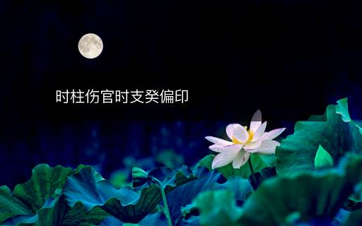 时柱伤官时支癸偏印