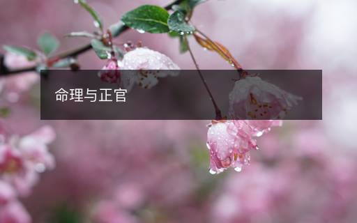 命理与正官