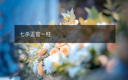 七杀正官一柱