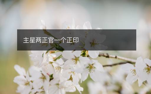 主星两正官一个正印