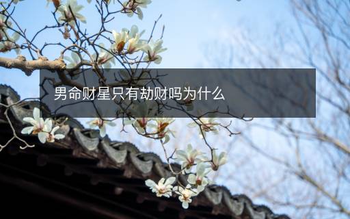 男命财星只有劫财吗为什么