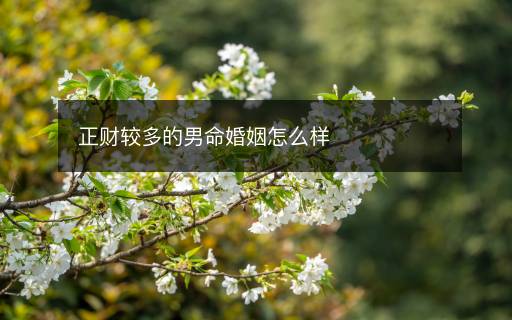 正财较多的男命婚姻怎么样