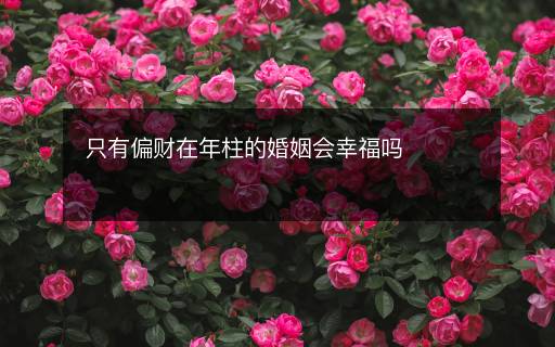 只有偏财在年柱的婚姻会幸福吗
