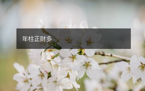 年柱正财多 年柱正财多