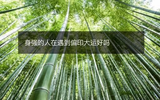 身强的人在遇到偏印大运好吗